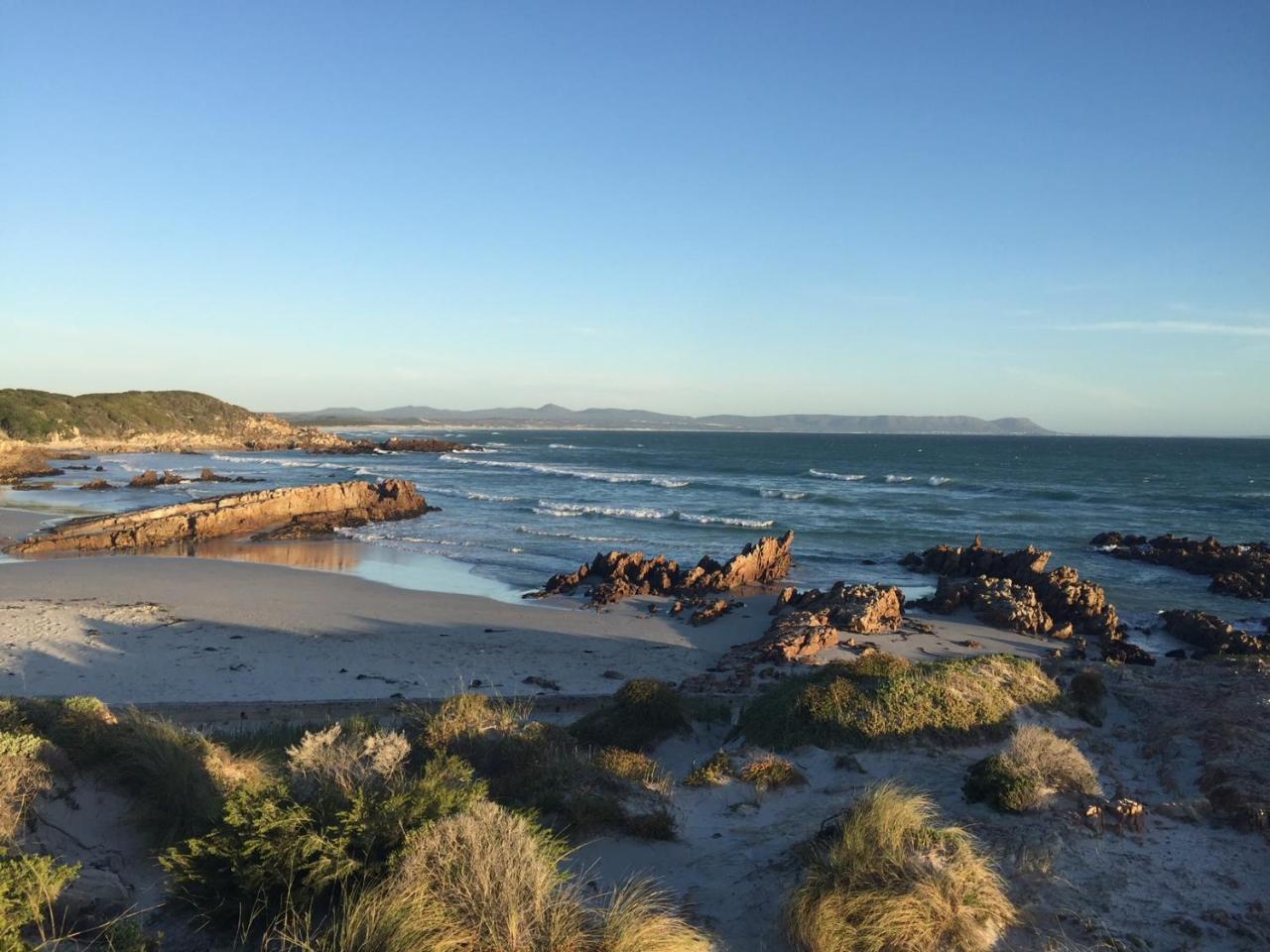 Protea & Pincushion Cottages Hermanus Kültér fotó